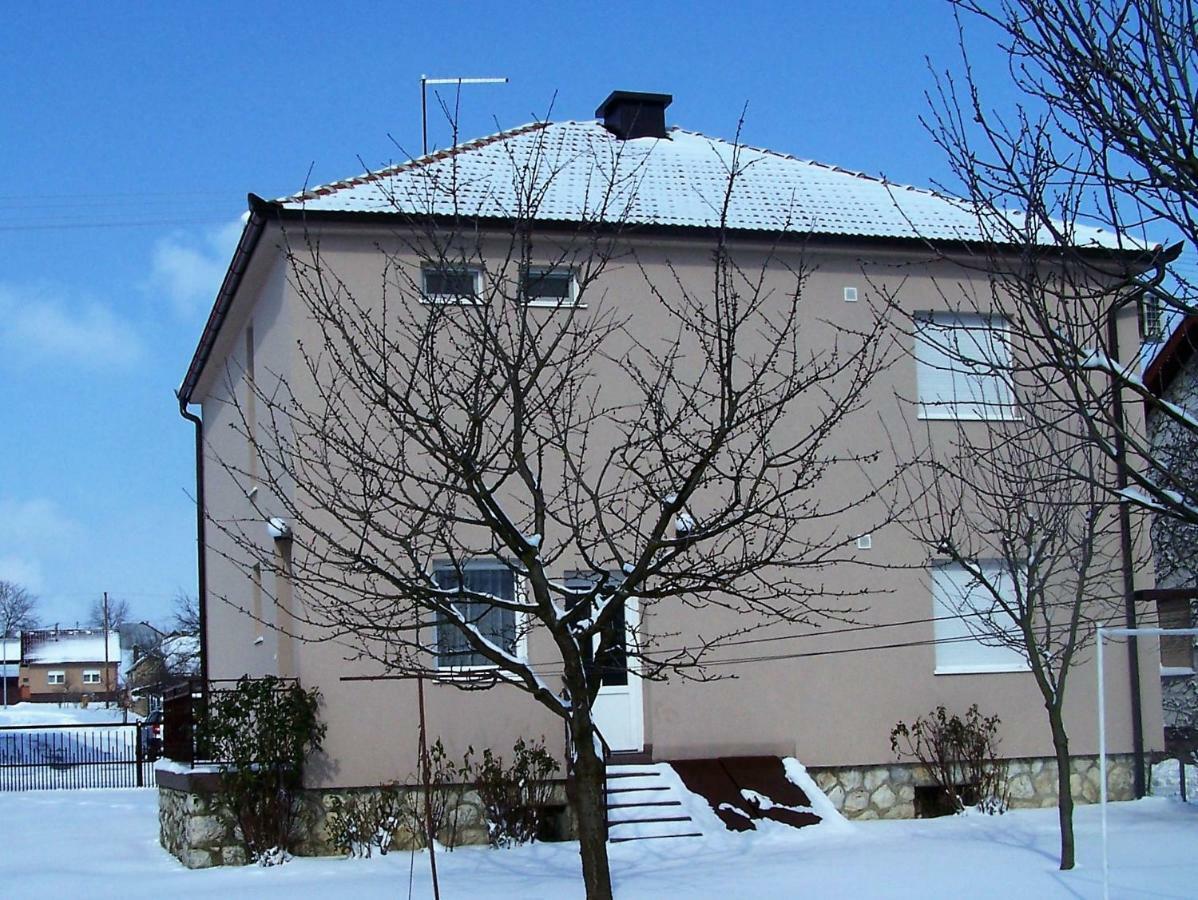 Apartmani Matosevic Ivankovo Bagian luar foto