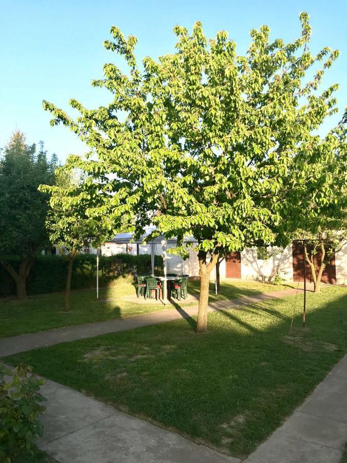 Apartmani Matosevic Ivankovo Bagian luar foto